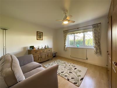 Picture 15